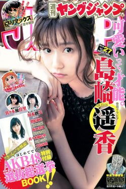 九幺高危风险9.1免费版动漫版